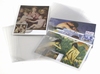 Protections Individuelles cartes modernes et anciennes